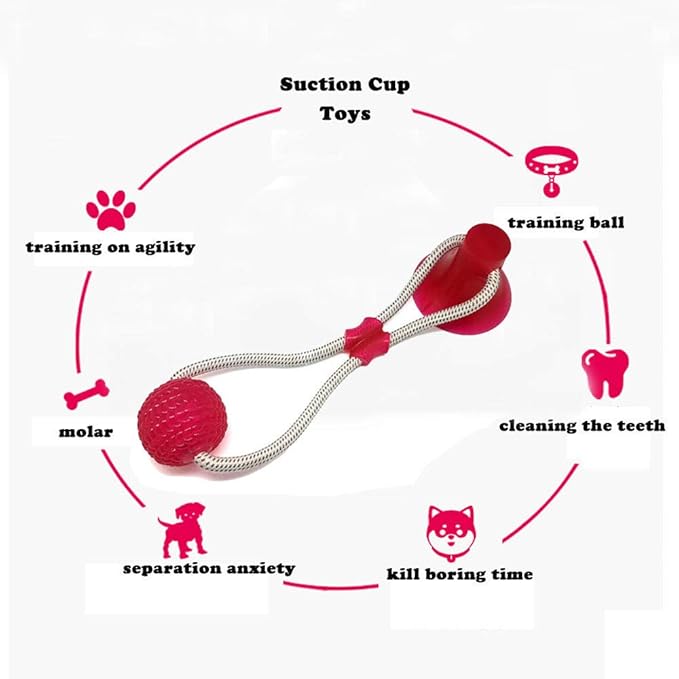 Juguete para mascota mordedor dental