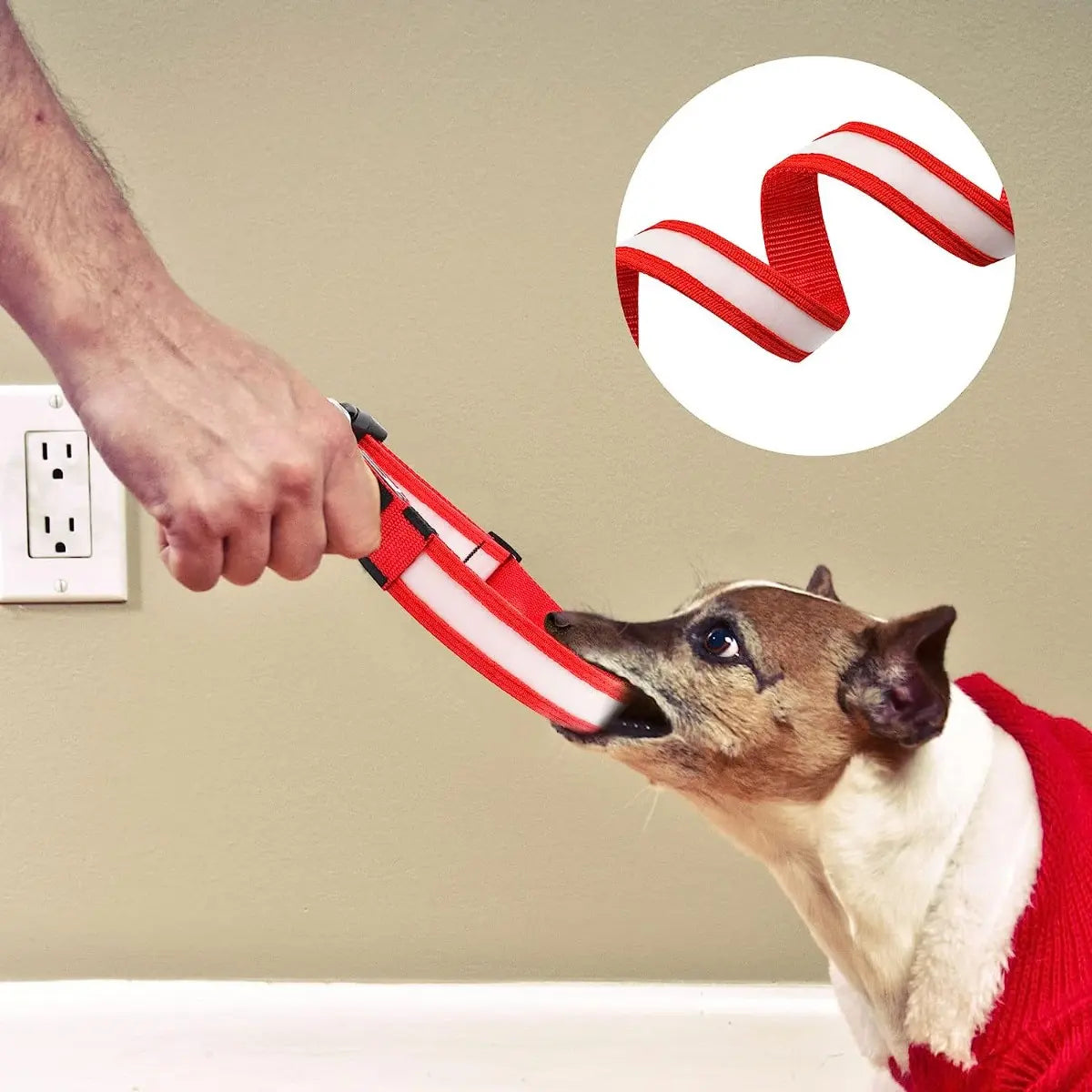 COLLAR DE NAILON CON LUZ LED PARA MASCOTA