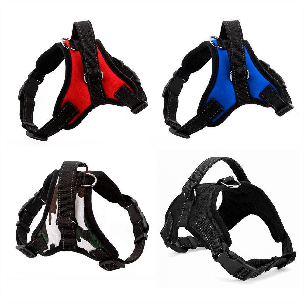 Arnes Perchero para mascotas