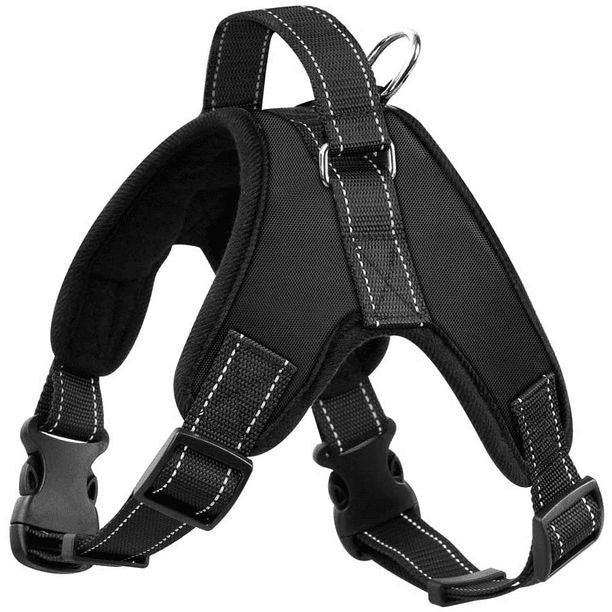 Arnes Perchero para mascotas