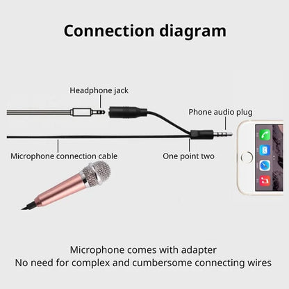 Mini Microfono Estereo Portatil de 3.5 m