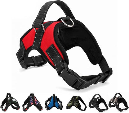 Arnes Perchero para mascotas