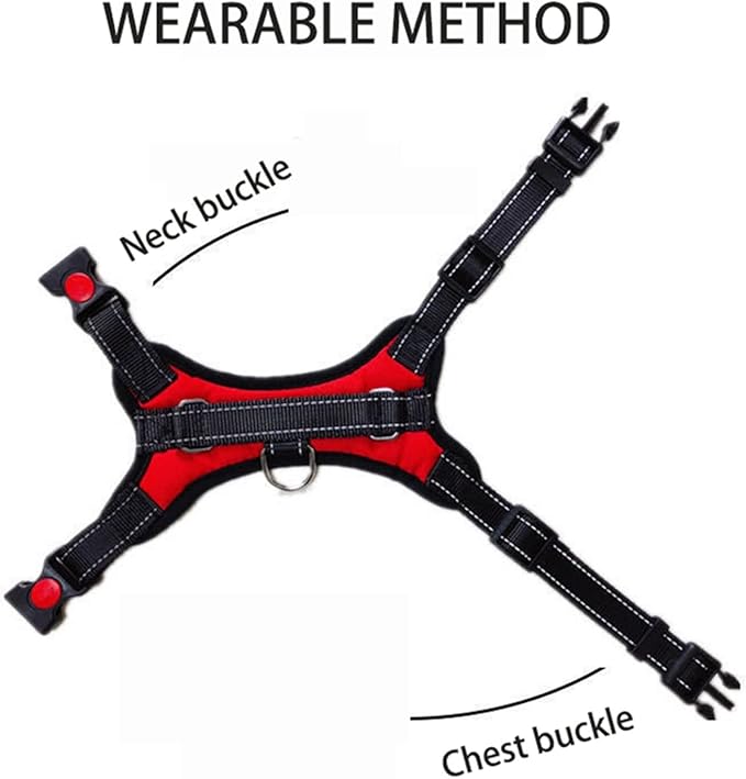 Arnes Perchero para mascotas