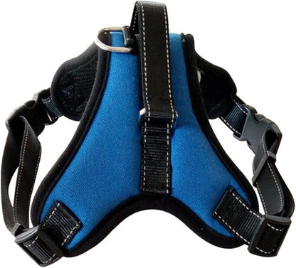 Arnes Perchero para mascotas