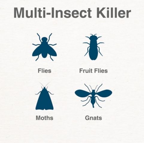 Trampa Inteligente Moscos e Insectos