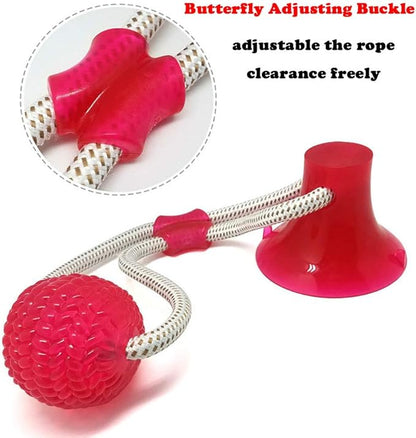 Juguete para mascota mordedor dental