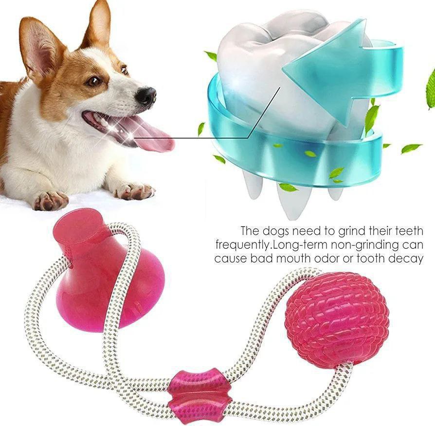 Juguete para mascota mordedor dental