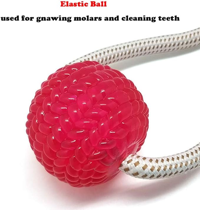 Juguete para mascota mordedor dental