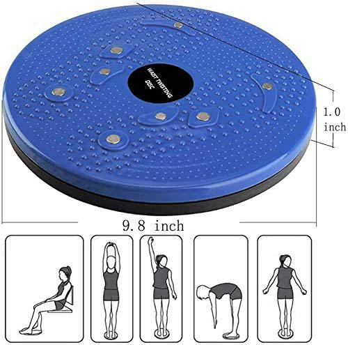 Disco magnetico de entrenamiento