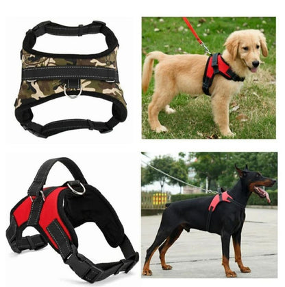 Arnes Perchero para mascotas