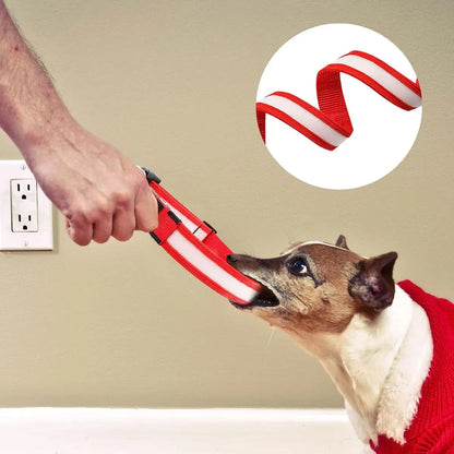 COLLAR DE NAILON CON LUZ LED PARA MASCOTA
