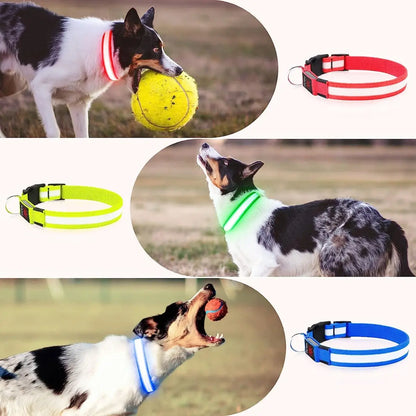 COLLAR DE NAILON CON LUZ LED PARA MASCOTA
